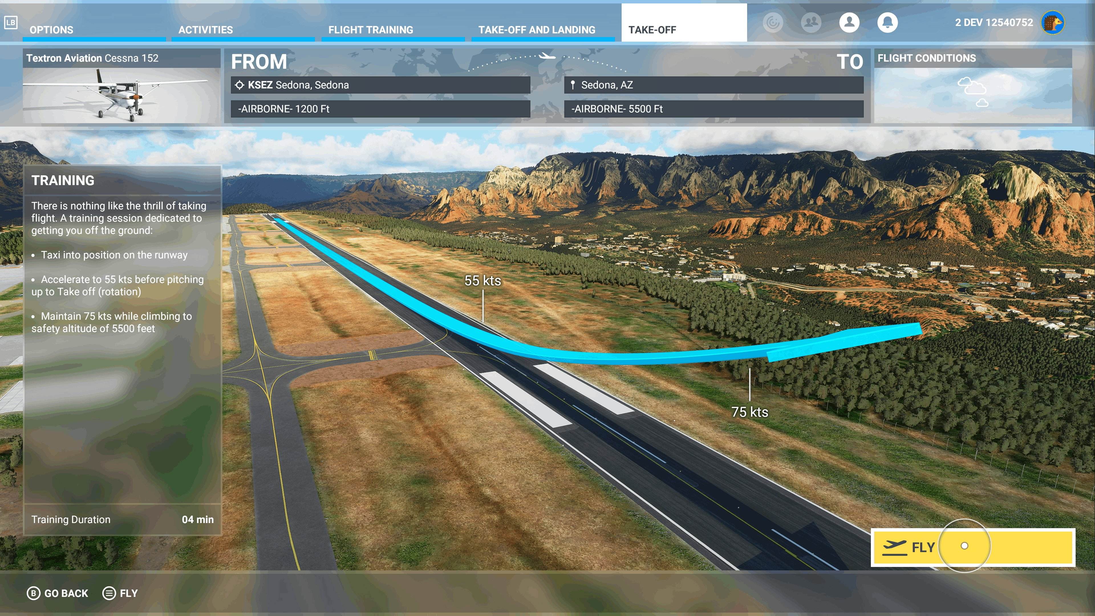 Microsoft Flight Simulator